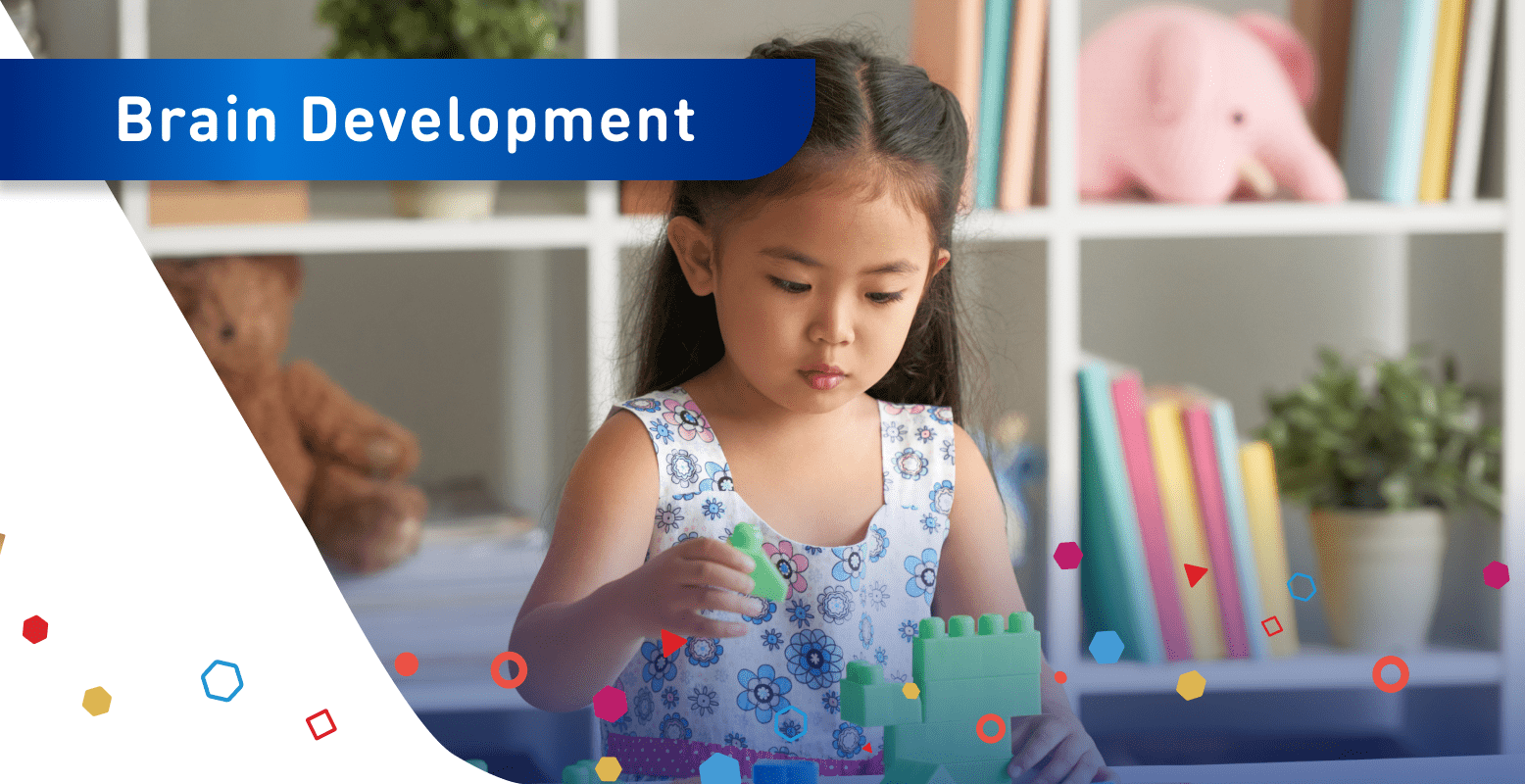 Brain Development | Enfagrow A+ Singapore