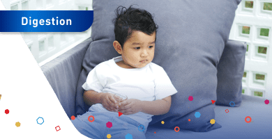 Digestion Banner