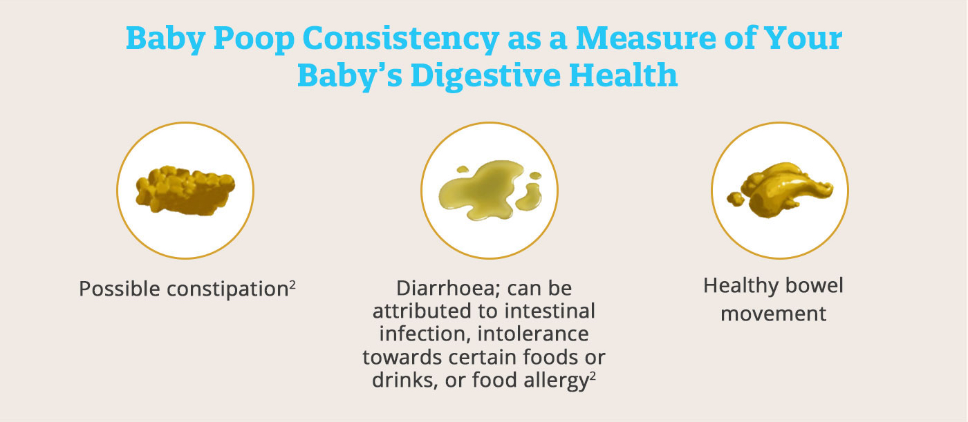 things to know about baby digestion