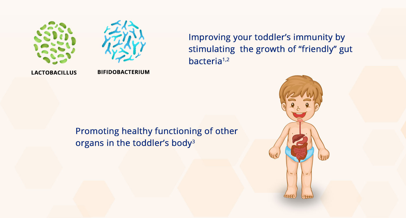 are prebiotics good for toddler